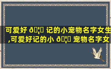 可爱好 🦟 记的小宠物名字女生,可爱好记的小 🦄 宠物名字女生两个字